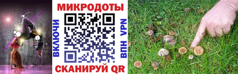 Галлюциногенные грибы Psilocybe  Уржум 